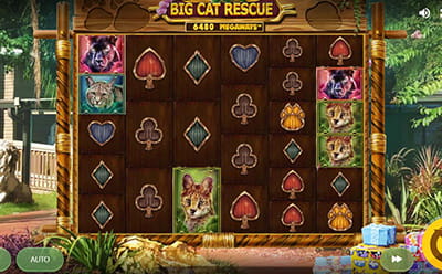 The Big Cat Rescue Megaways slot game at the DraftKings US casino